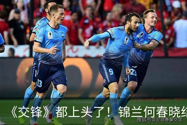 《交锋》都上头了！锦兰何春晓结婚，金丽娜给林看山当床伴