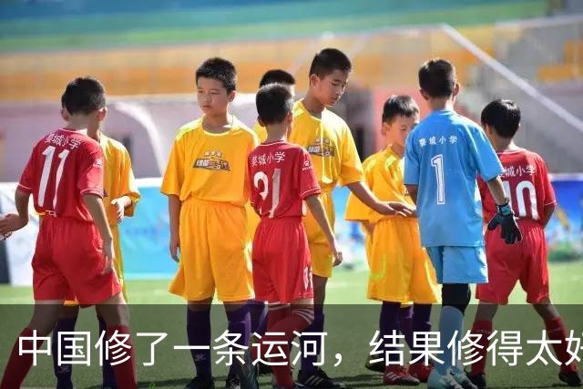 中国修了一条运河，结果修得太好，顺手又造了13800亩良田