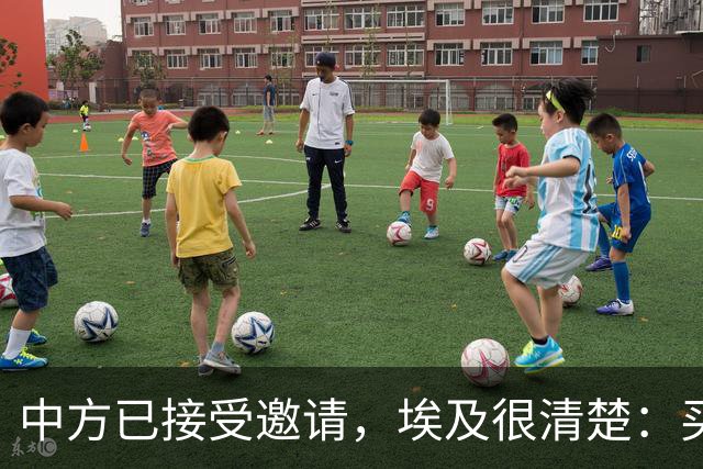 中方已接受邀请，埃及很清楚：买阵风是交易，中国战机才是真门面