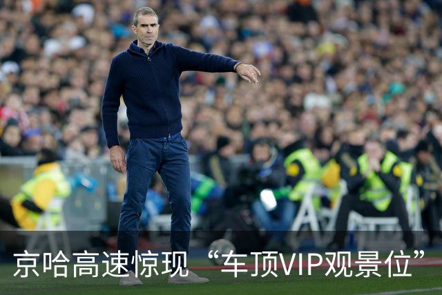 京哈高速惊现“车顶VIP观景位”，两只狗狗兜风过国庆排面拉满！