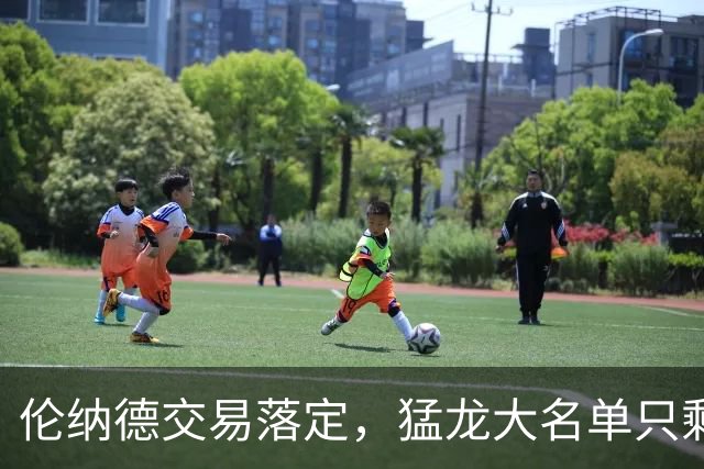 伦纳德交易落定，猛龙大名单只剩13人还能再签