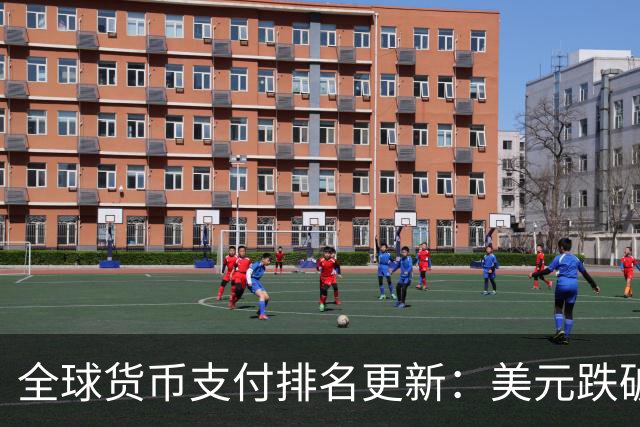 全球货币支付排名更新：美元跌破50%、欧元22%，人民币成绩如何？