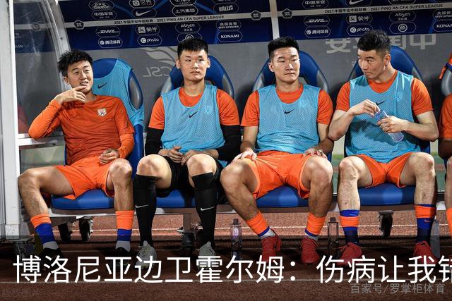 博洛尼亚边卫霍尔姆：伤病让我错过了尤文和世界杯
