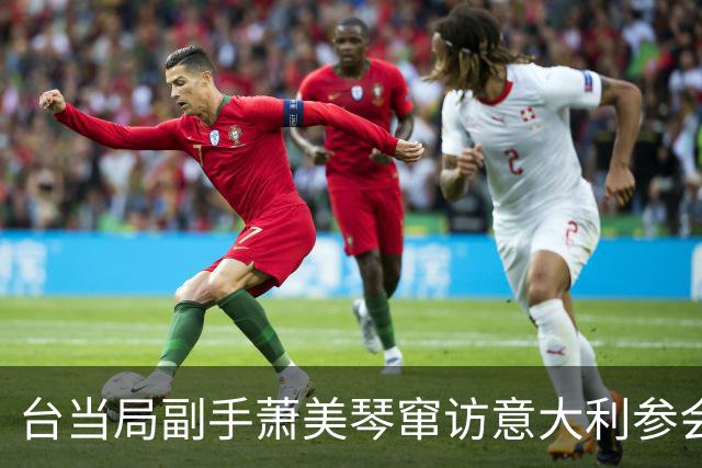 台当局副手萧美琴窜访意大利参会，欧洲副议长叫嚣大陆无权干涉！