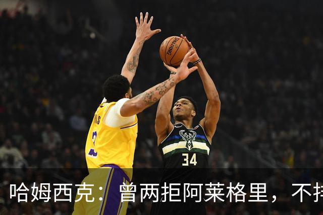 哈姆西克：曾两拒阿莱格里，不排除回归那不勒斯
