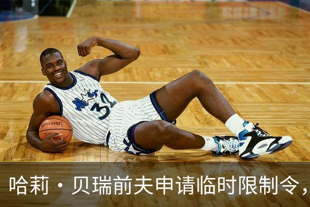 哈莉·贝瑞前夫申请临时限制令，指称其袭击12岁儿子