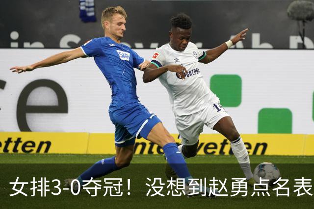 女排3-0夺冠！没想到赵勇点名表扬队内一人：第三局靠他逆转局势