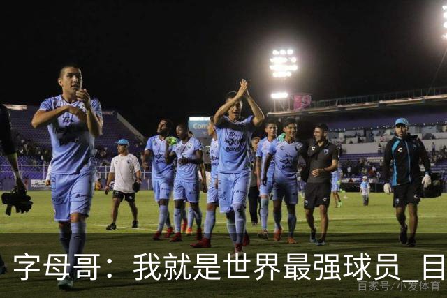 字母哥：我就是世界最强球员 目标是总冠军