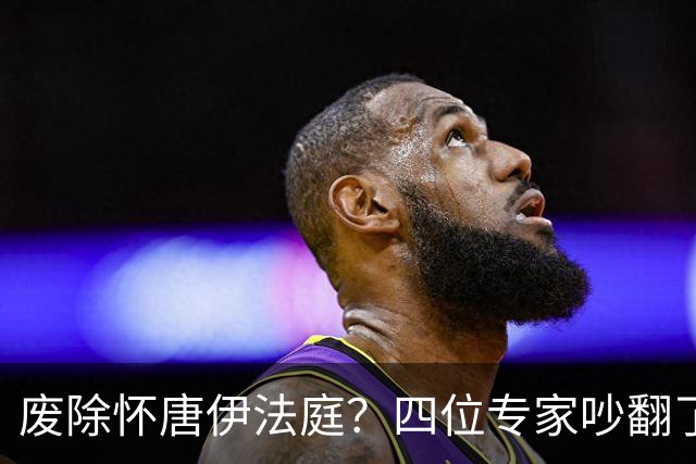 废除怀唐伊法庭？四位专家吵翻了