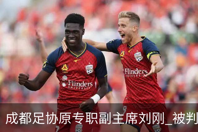 成都足协原专职副主席刘刚 被判8年并处罚金70万