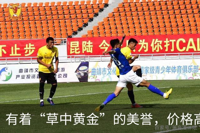 有着“草中黄金”的美誉，价格高达上千元，曾经却被当做野草