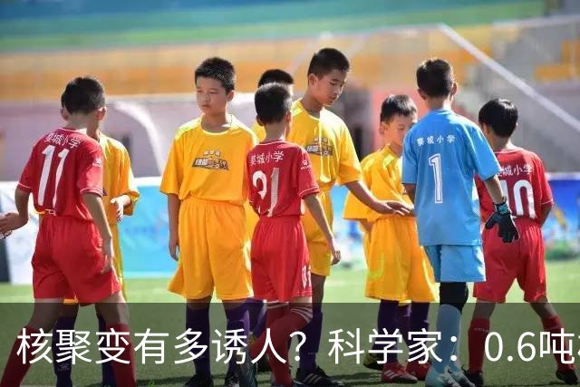 核聚变有多诱人？科学家：0.6吨核聚变燃料，相当于200万吨优质煤