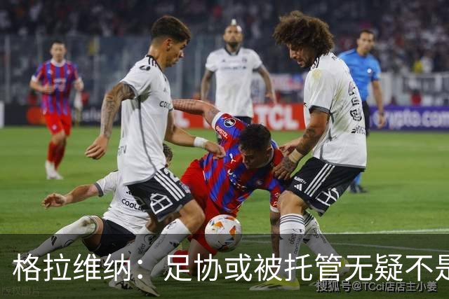 格拉维纳：足协或被托管无疑不是意大利体育的美好篇章