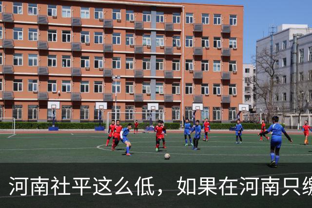 河南社平这么低，如果在河南只缴15年社保，个人账户6.37万，退休能拿多少钱？