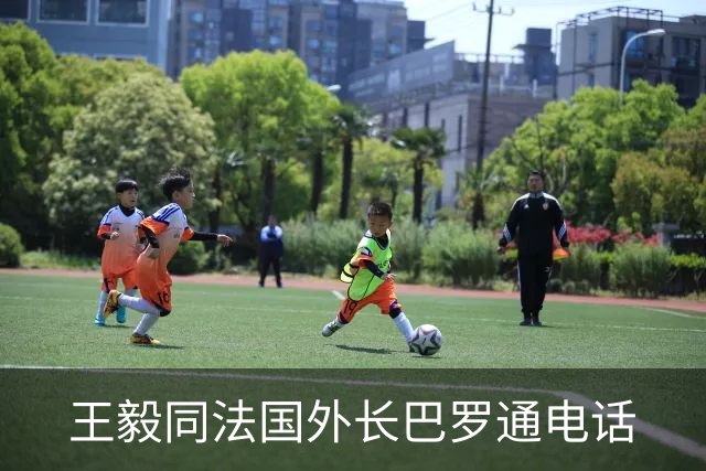 王毅同法国外长巴罗通电话