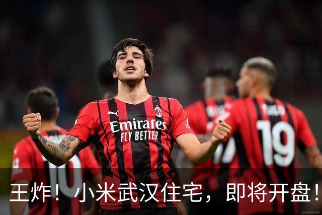王炸！小米武汉住宅，即将开盘！