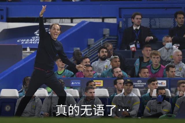 真的无语了…