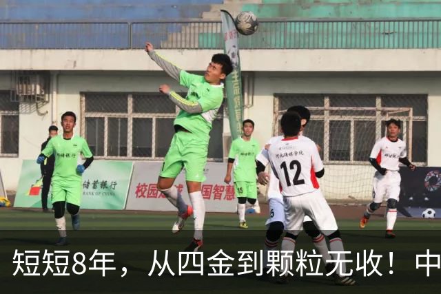 短短8年，从四金到颗粒无收！中国篮球亟需“动手术”，姚明的警钟敲响