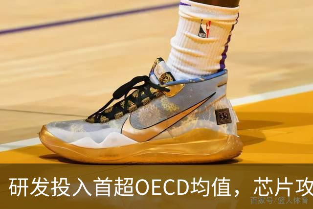 研发投入首超OECD均值，芯片攻关取得新突破