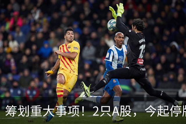 筹划重大事项！2只A股，今起停牌！