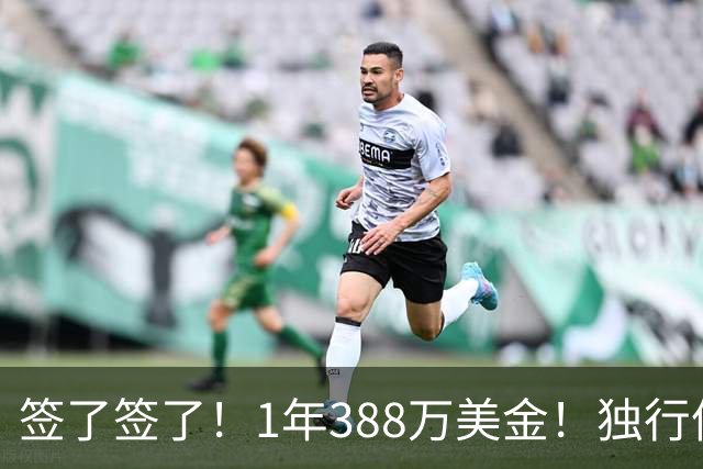 签了签了！1年388万美金！独行侠队魂正式回归