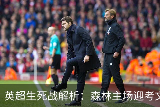 英超生死战解析：森林主场迎考文垂，积分差距下的战术博弈