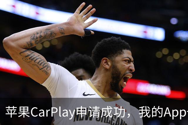 苹果CarPlay申请成功，我的App也能玩CarPlay了