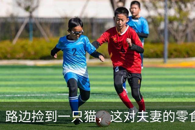路边捡到一只猫，这对夫妻的零食之旅变成了"欢迎回家"