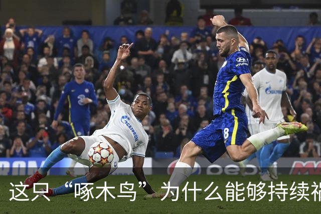 这只“啄木鸟”为什么能够持续祸害老百姓？