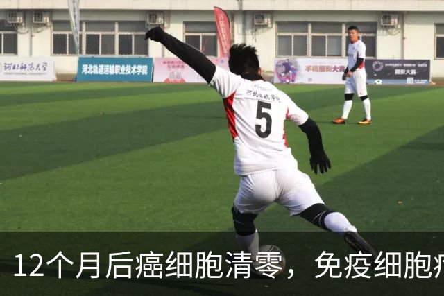 12个月后癌细胞清零，免疫细胞疗法再下一城