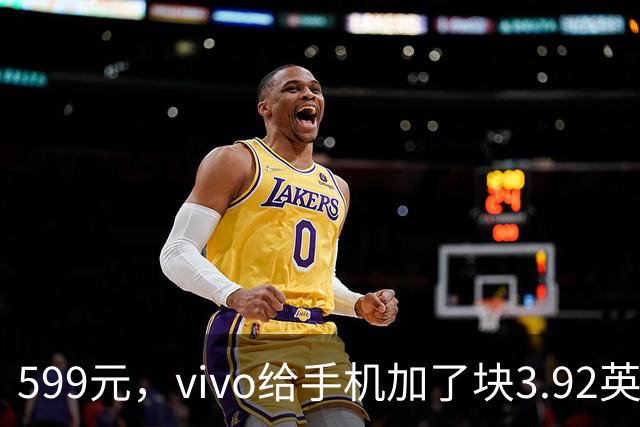 599元，vivo给手机加了块3.92英寸外接屏