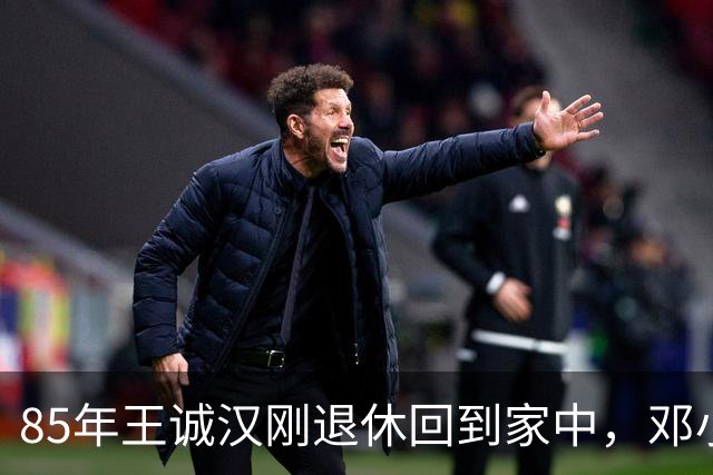 85年王诚汉刚退休回到家中，邓小平紧急点将：有一项新任务要交给你